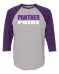 Dixon Panthers Baseball Jersey T-Shirt