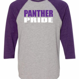 Dixon Panthers Baseball Jersey T-Shirt