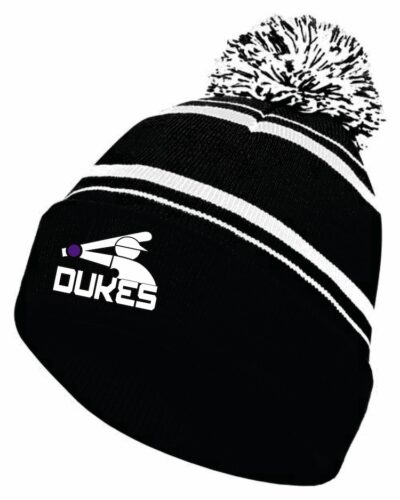 Dixon Baseball Stocking Hat