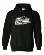Mt. Carroll Hoodie