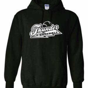 Mt. Carroll Hoodie