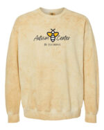 Autism Center of Illinois Empowering Children Colorblast Crewneck